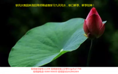 释诚信:谁利用九天风水服务民众,谁就是未来