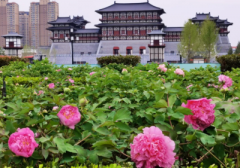 传统文化之正统九天风水,改人命运灵能提升人