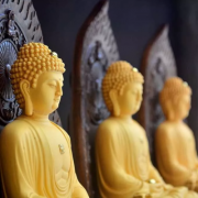 人不替天行道利益众生,你就不会实现财富自由