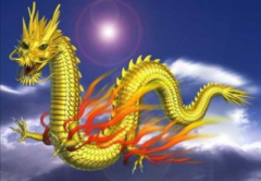 老总老板们办公室风水环境,这样布局你想不做