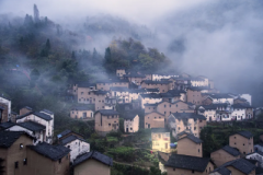 你能知道居住环境最怕什么?那就表明你就是一