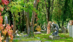 看坟墓封土堆上面植被,铁口直断墓主人金口诀