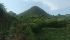 你想赚钱轻松就一定不要,疏于对你家坟地进行
