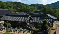 你只要能够跟我学会看峦头,你就会铁口直断看