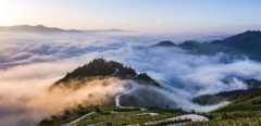你家坟地如果不是龙穴福地,怎能对子孙后代起